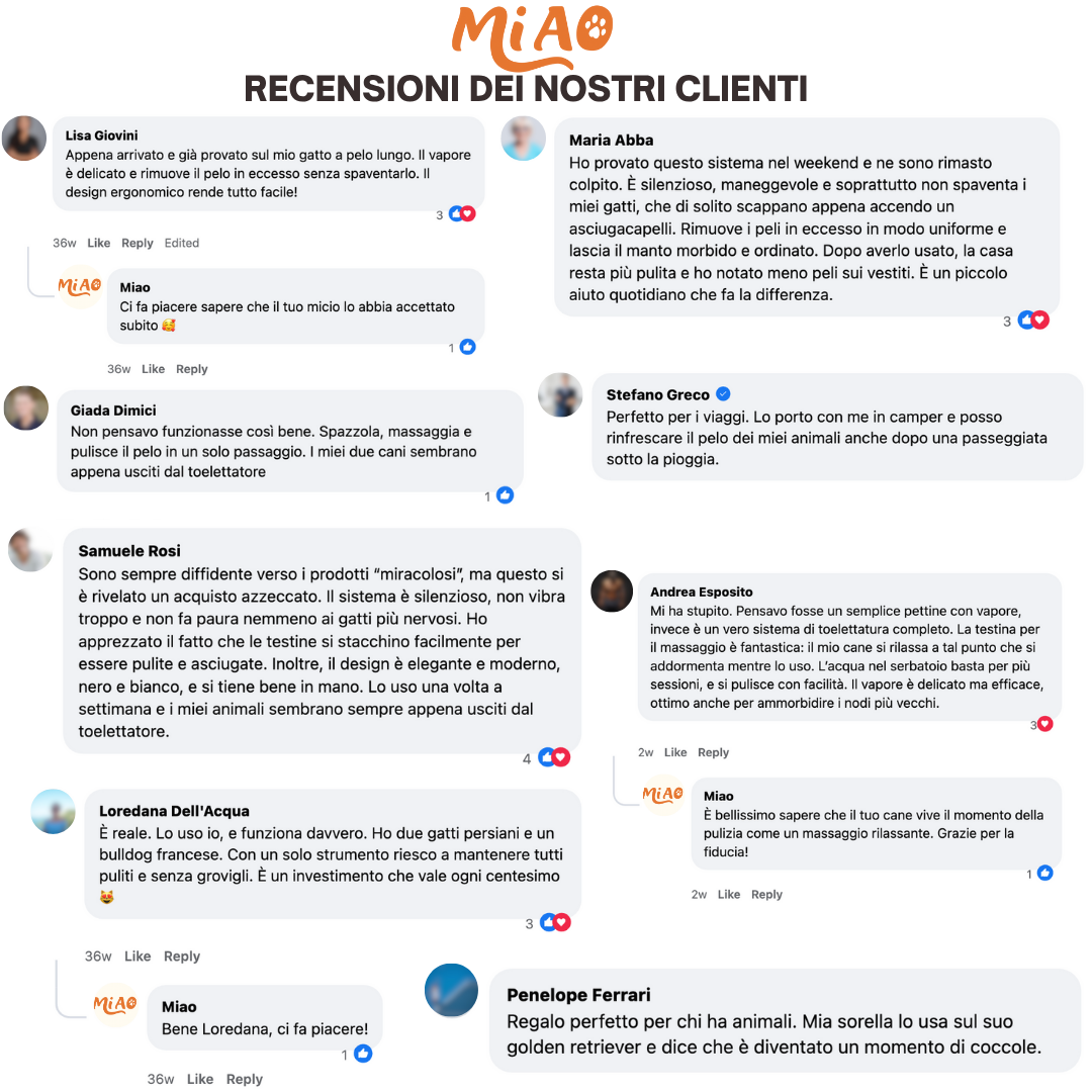 Spazzola a micro nebulizzazione