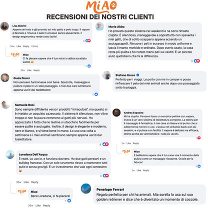 Spazzola a micro nebulizzazione